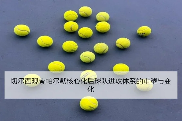 qie-er-xi-guan-cha-pa-er-mo-he-xin-hua-hou-qiu-dui-jin-gong-ti-xi-de-zhong-su-yu-bian-hua-2-379.jpg